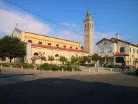 Local Church