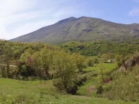 Countryside II - Blue Eye