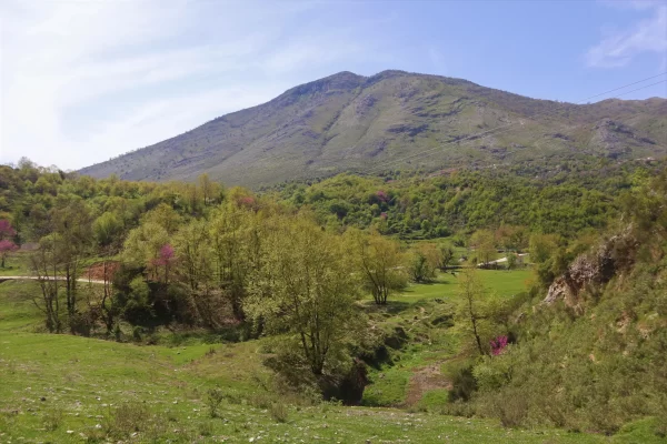 Countryside II - Blue Eye