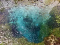 Blue Eye Close-Up - Blue Eye