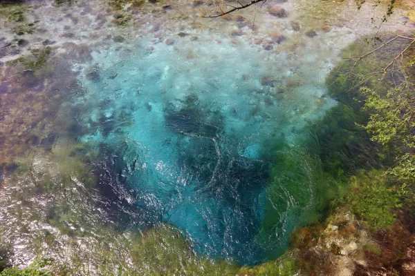 Blue Eye Close-Up - Blue Eye