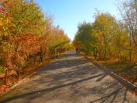 Walk through Central Park