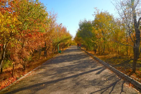 Walk through Central Park