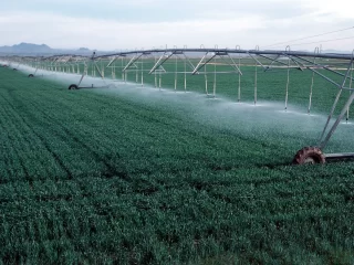 PivotWithDrops PivotWithDrops