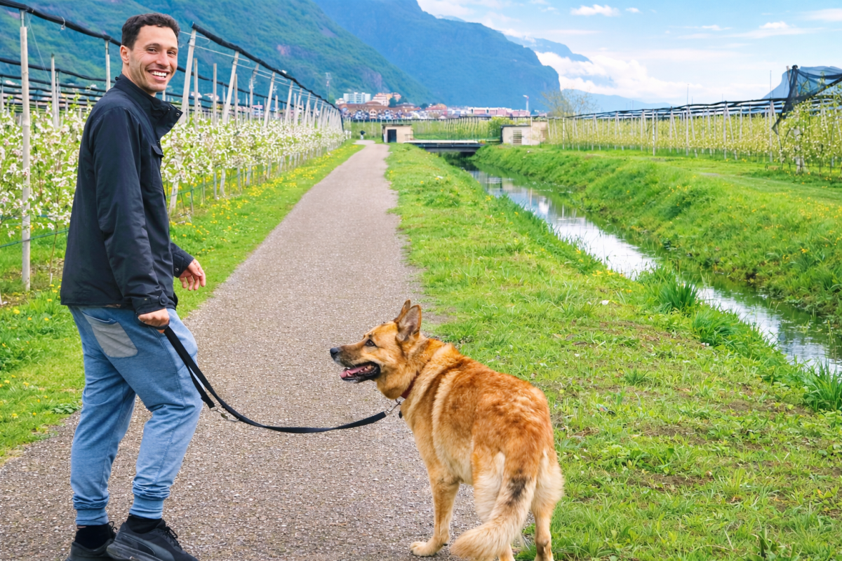 ca5ae9b2-23ed-45b9-b7a6-8b88ce275180